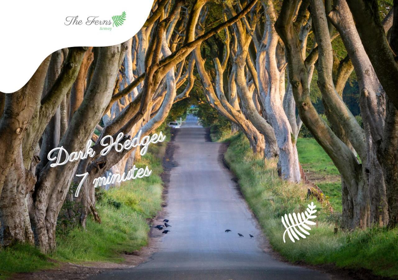 The Ferns-Ideal Base For Exploring The Causeway Coast Armoy Dış mekan fotoğraf
